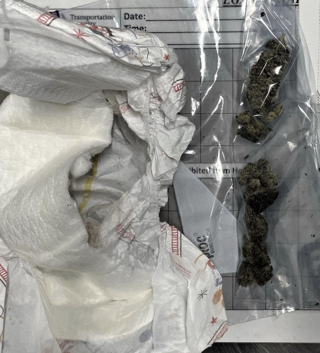 tsa at laguardia found weed in a woman's adult diaper that she was wearing - Transportation Date Ame bited it m He